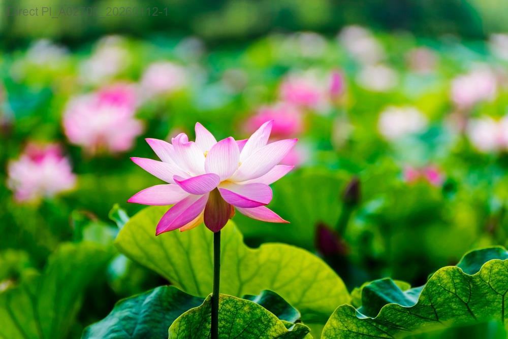 台灣秘境：到了就不想離開，這些地方讓人越探越迷失示意圖